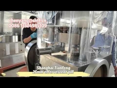 ZP17B máquina de prensagem de pílulas efervescentes de frango