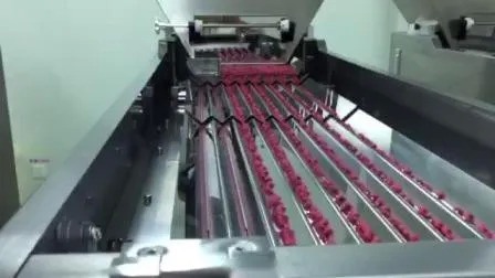 Linha de produção de enchimento de garrafas farmacêuticas de alta velocidade 380V com garantia de 1 ano para garrafas de 60ml 80ml 100ml