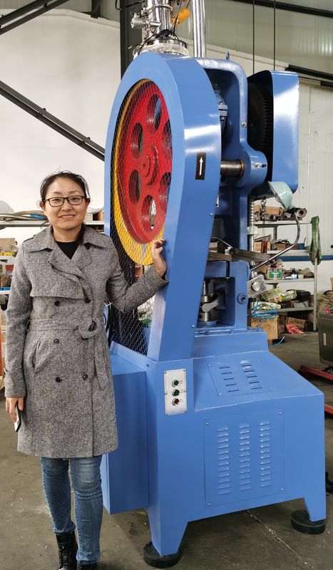 Máquina da imprensa da tabuleta da cesta da flor da série de THP de tipo contínuo